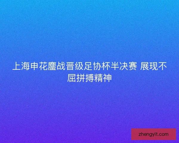 上海申花鏖战晋级足协杯半决赛 展现不屈拼搏精神 上海申花鏖战晋级足协杯半决赛 展现不屈拼搏精神