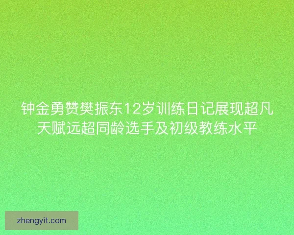 钟金勇赞樊振东12岁训练日记展现超凡天赋远超同龄选手及初级教练水平 钟金勇赞樊振东12岁训练日记展现超凡天赋远超同龄选手及初级教练水平