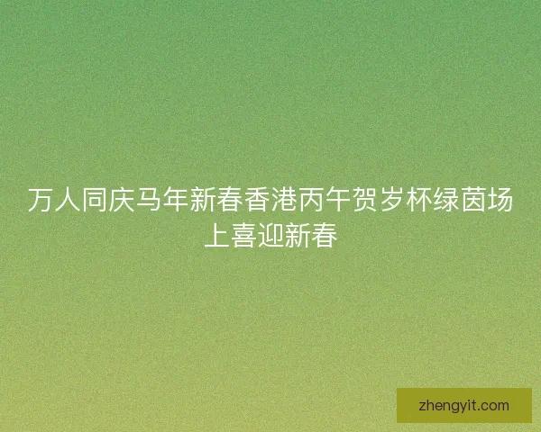 万人同庆马年新春香港丙午贺岁杯绿茵场上喜迎新春 万人同庆马年新春香港丙午贺岁杯绿茵场上喜迎新春
