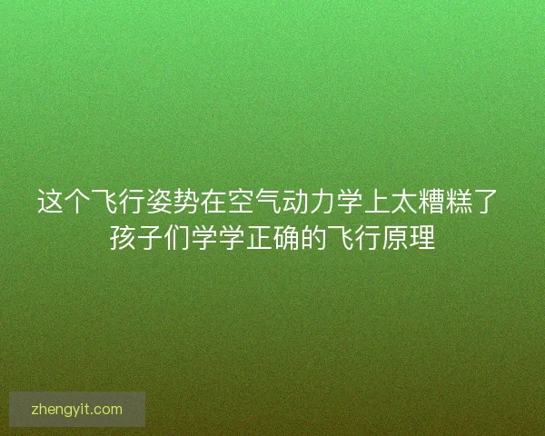 这个飞行姿势在空气动力学上太糟糕了 孩子们学学正确的飞行原理 这个飞行姿势在空气动力学上太糟糕了 孩子们学学正确的飞行原理